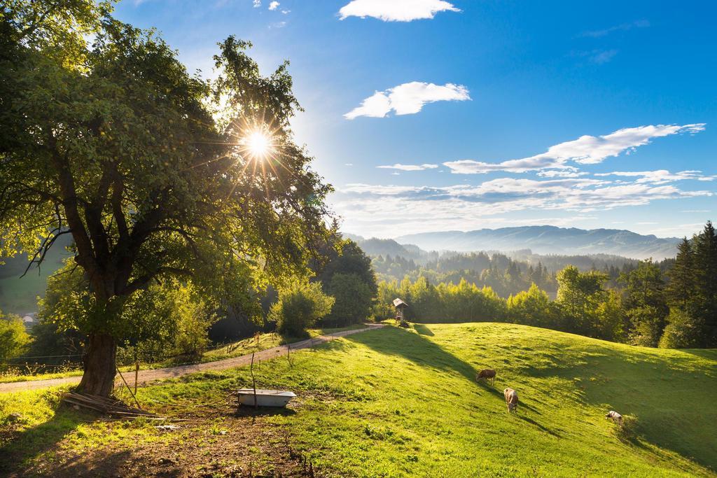 Eco Terme Snovik, Kamnik Otel Laze v Tuhinju Dış mekan fotoğraf